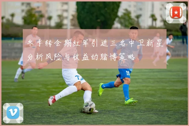 冬季转会期红军引进三名中卫新星分析风险与收益的赌博策略